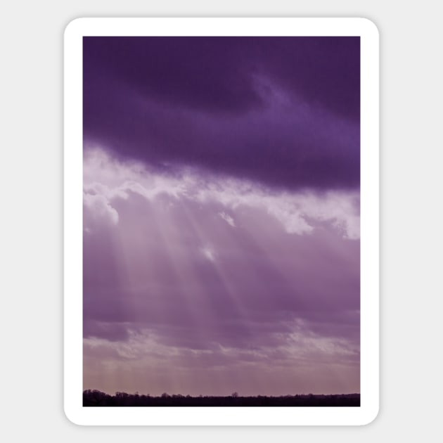 Purple rays Sticker by avrilharris